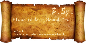 Placzintár Szonóra névjegykártya